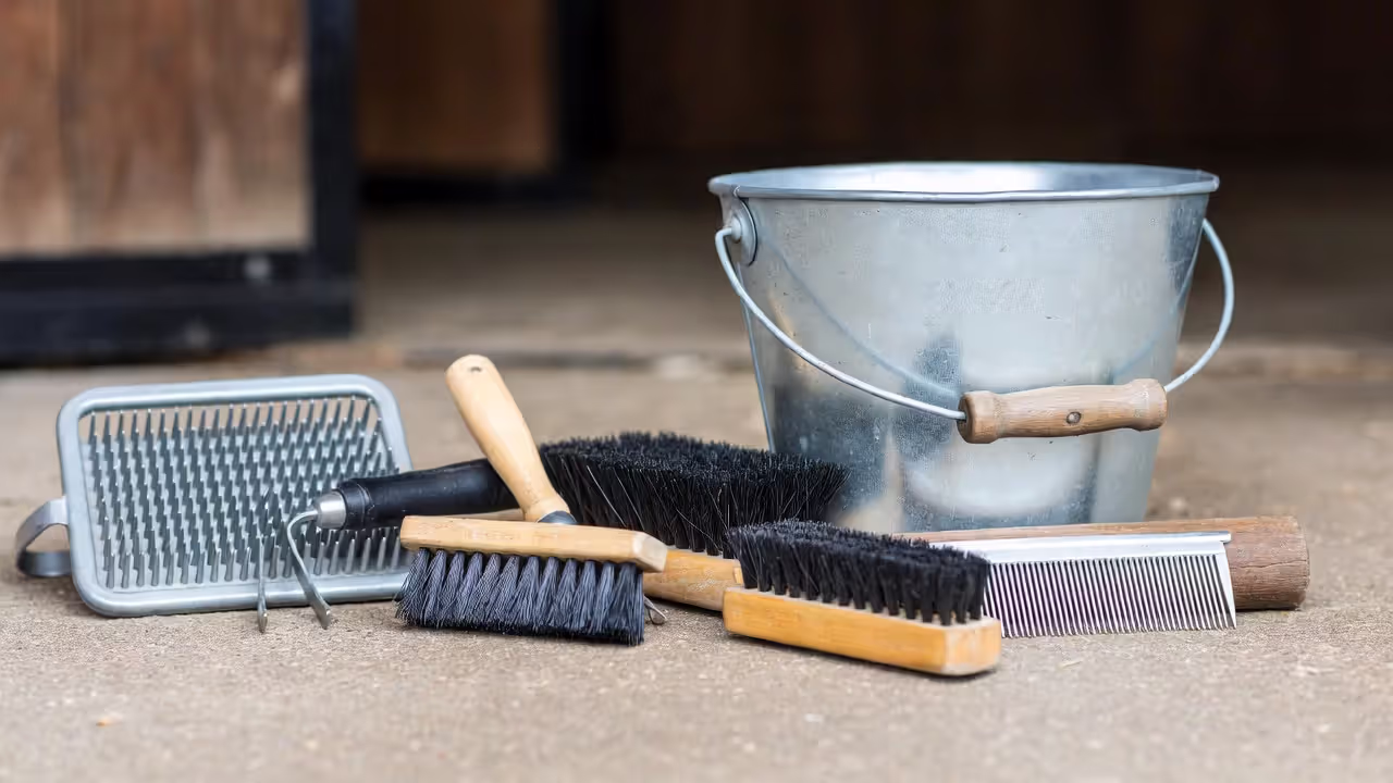 Horse Grooming Tools