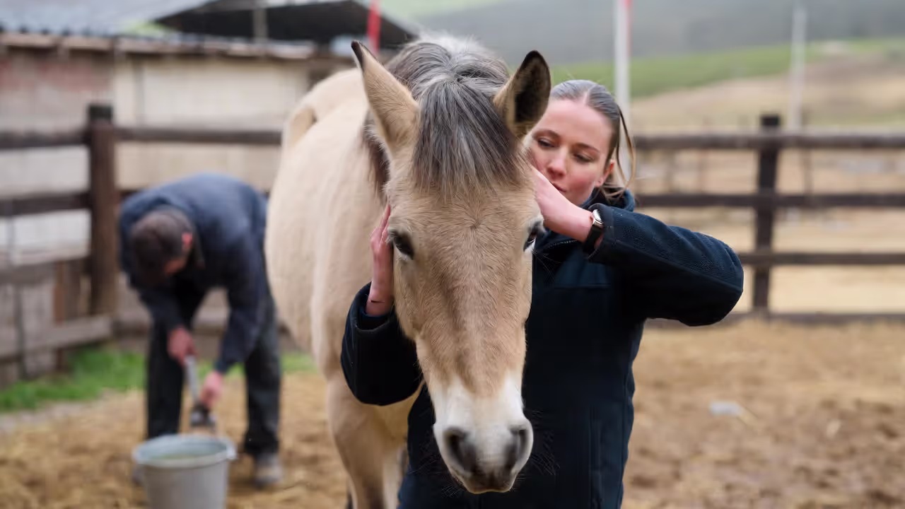 Health Care and When to Call the Vet