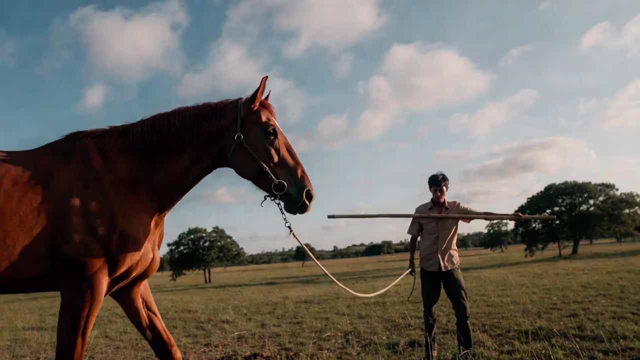 Ground Training Exercises