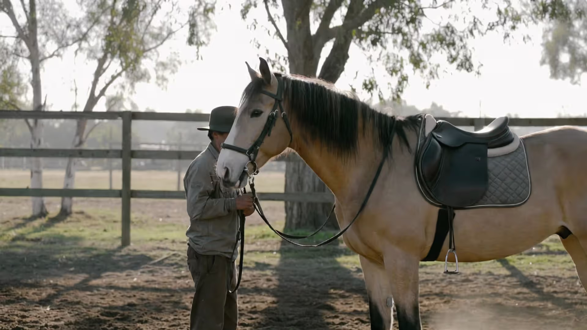 How to Train a Horse