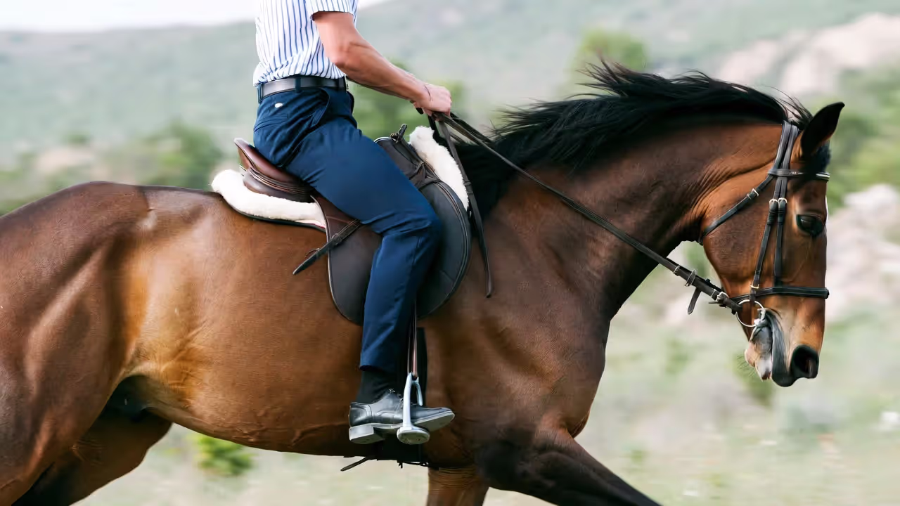 Essential Safety Gear and Pre-Ride Preparation