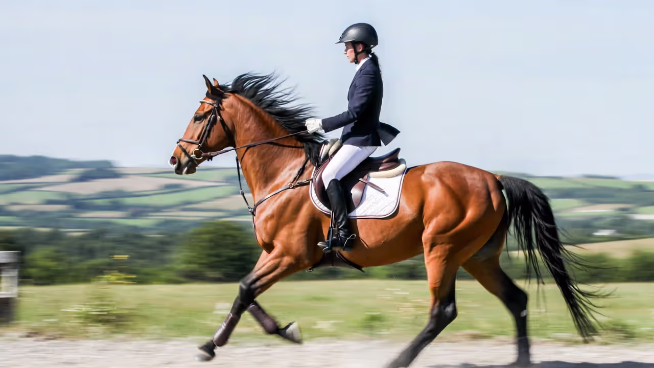 Step-by-Step Guide to Posting the Trot