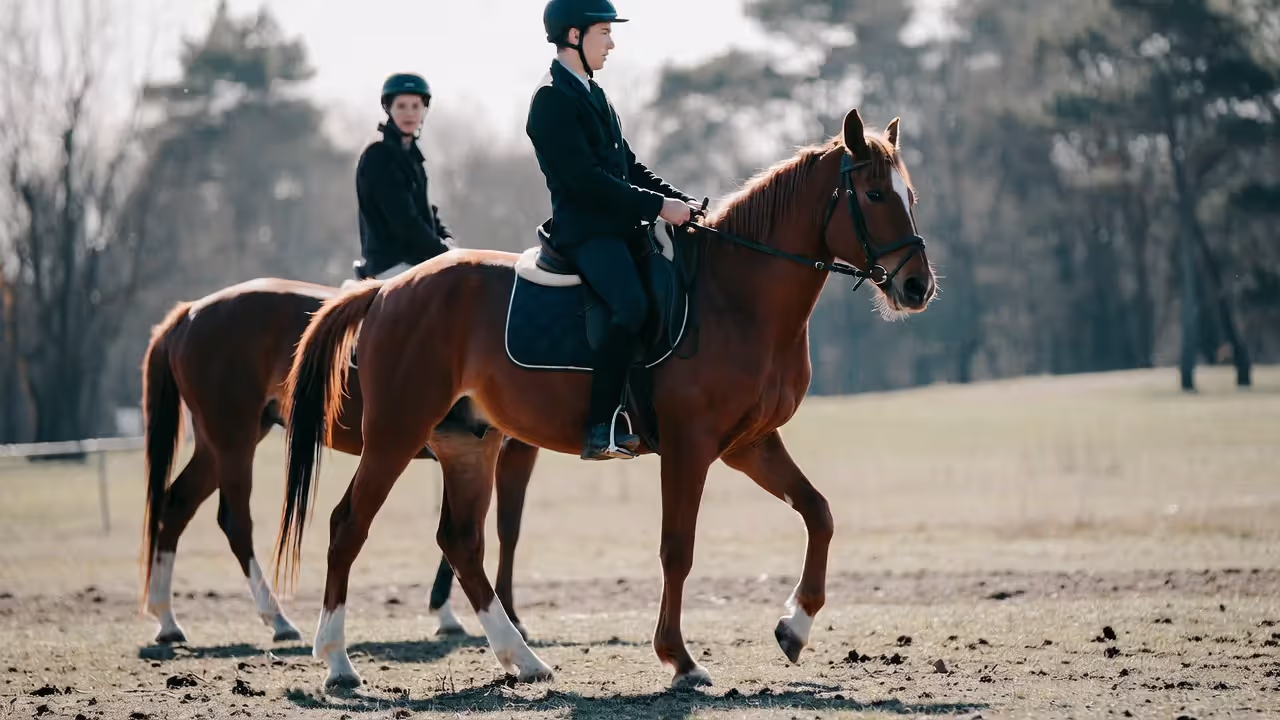 How Weight Distribution Affects Your Horse's Movement