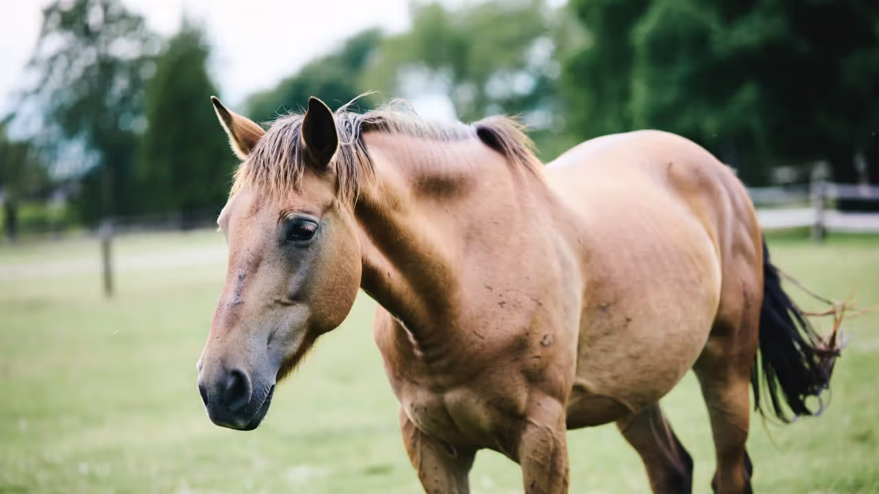 Recognizing the Warning Signs